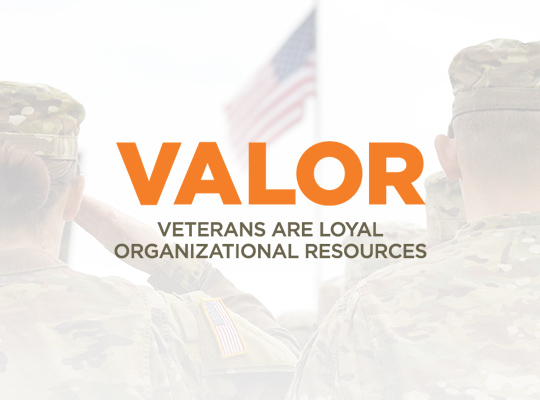 VALOR logo and two military people saluting the USA flag